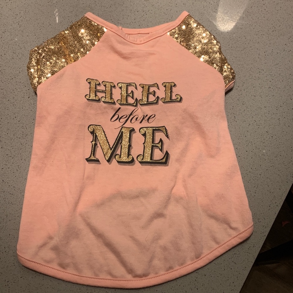 Dog Shirt “Heel before me”